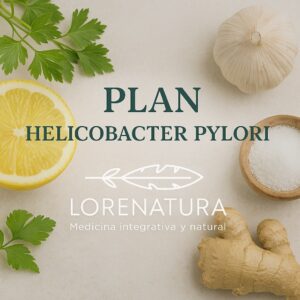 plan2 Plan HELICOBACTER PYLORI